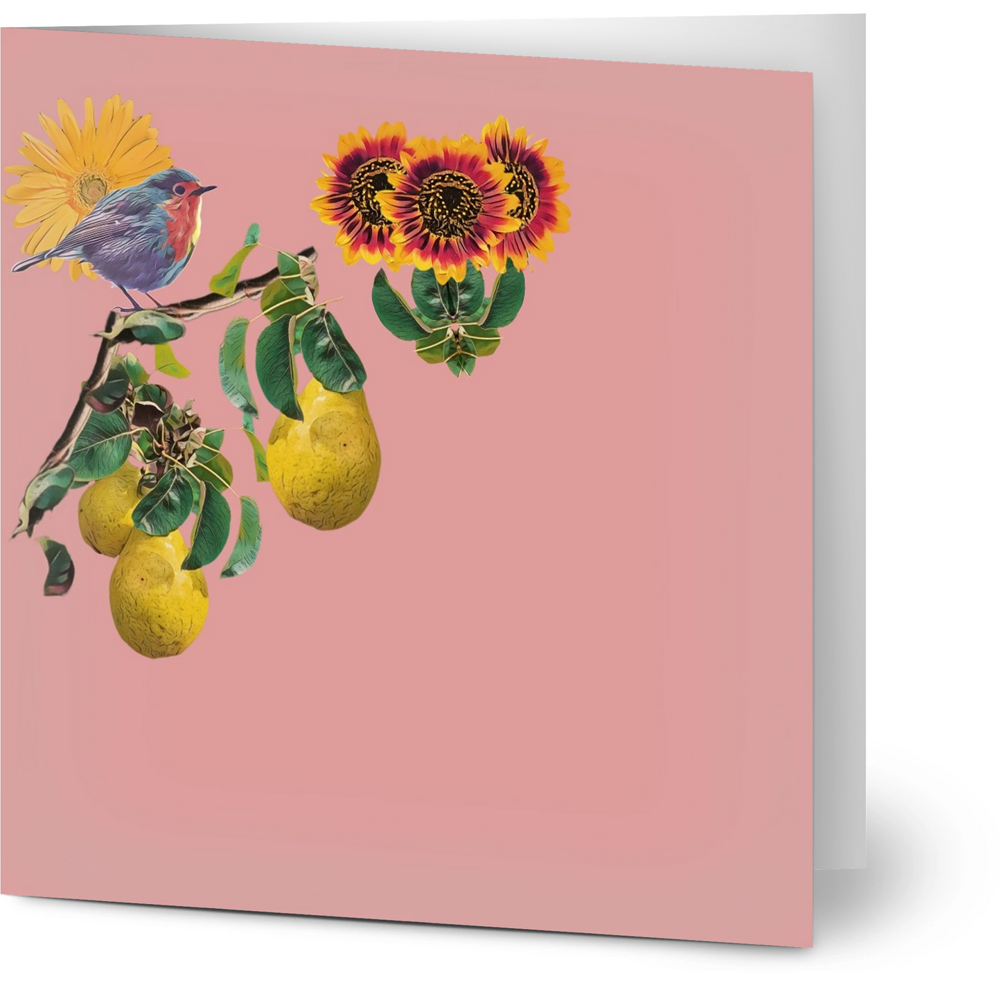 robin-pear-sunflower-themed-greeting-cards-pack-of-10-premium-folded-cards - front view