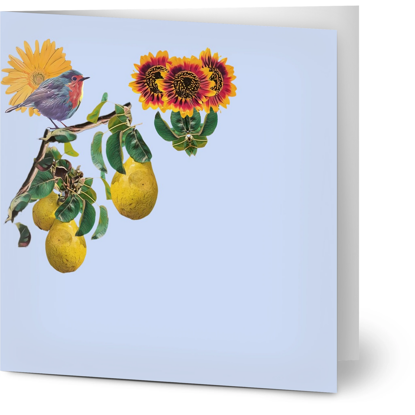 robin-pear-sunflower-themed-greeting-cards-pack-of-10-premium-folded-cards - front view