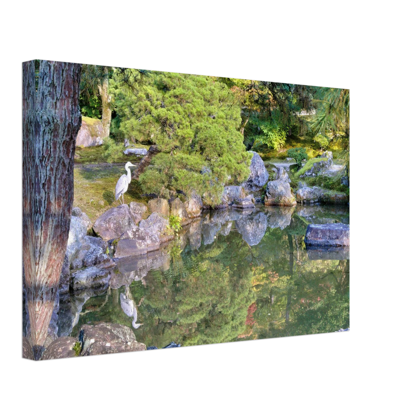 bb0f6a18-3773-4947-a1d0-abf8867d0efa