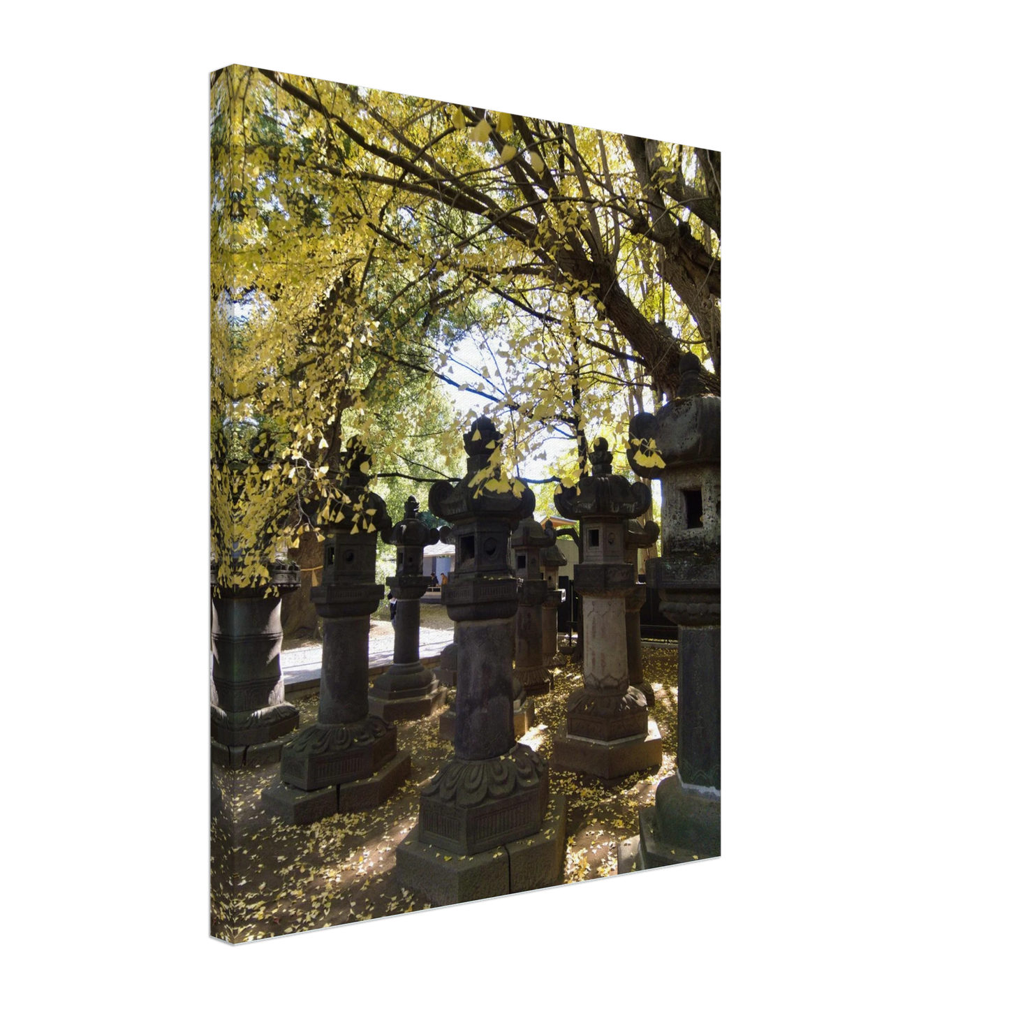 bc398632-142b-46f0-aed3-5f66a822f173