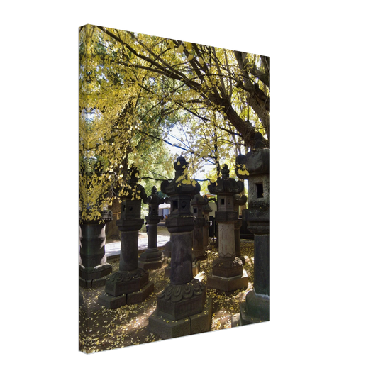 bc398632-142b-46f0-aed3-5f66a822f173