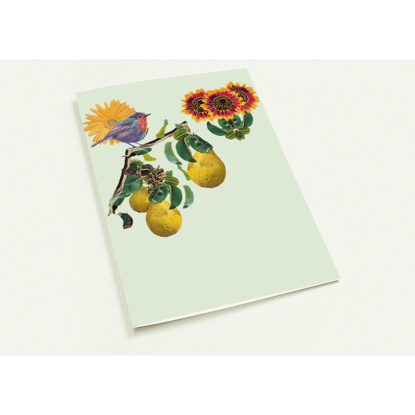 robin-pear-sunflower-themed-greeting-cards-pack-of-10-premium-folded-cards - front view