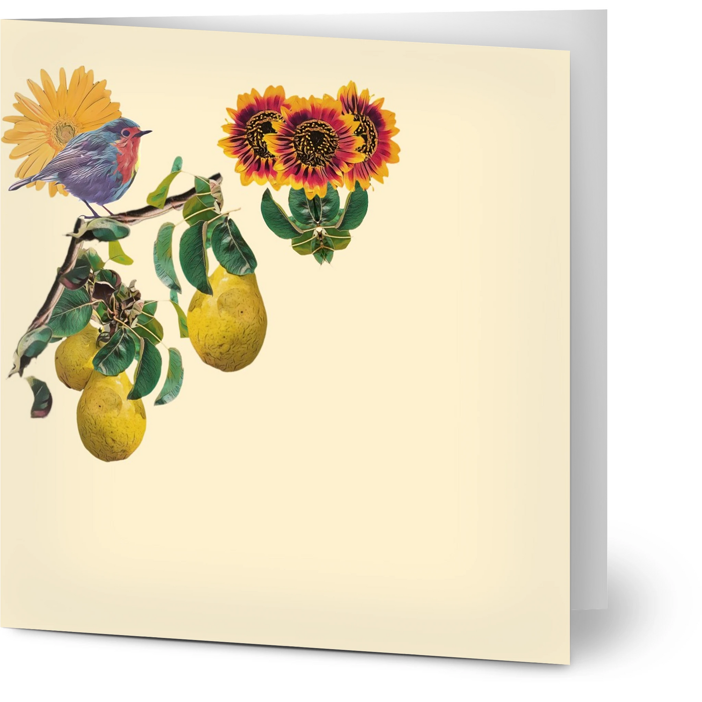 robin-pear-sunflower-themed-greeting-cards-pack-of-10-premium-folded-cards - front view