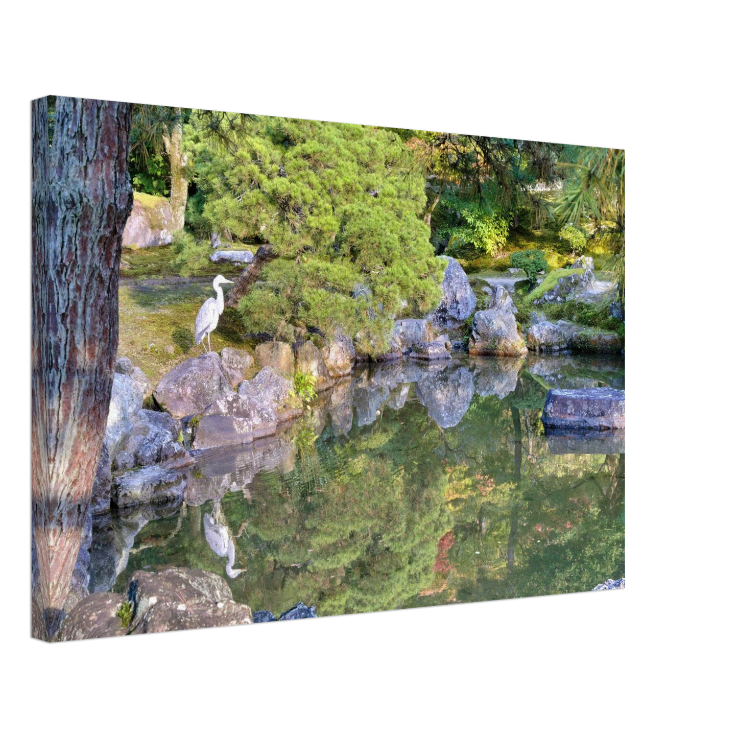 dd6b5931-fc05-4d87-a184-c7d8aba49f24