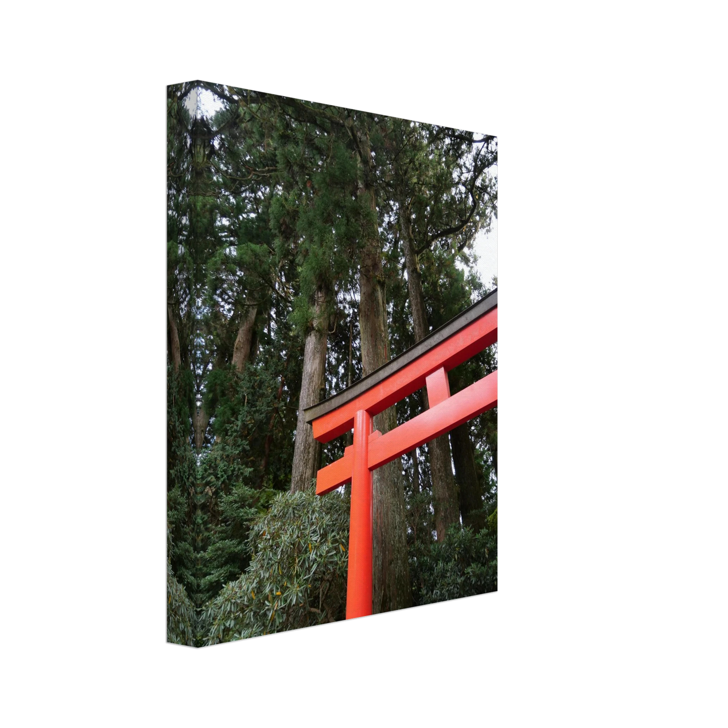 df96d5c4-2689-450c-851a-59e1d92cb7fb