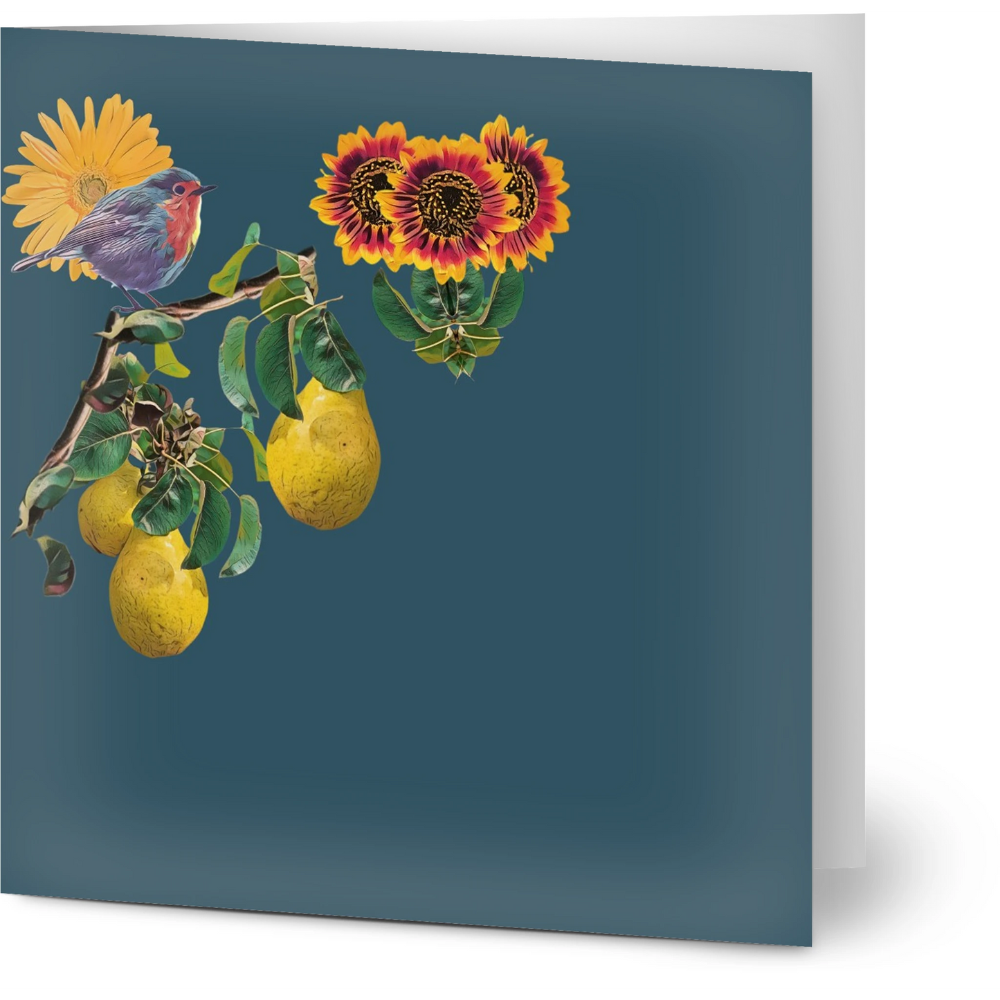 robin-pear-sunflower-themed-greeting-cards-pack-of-10-premium-folded-cards - front view
