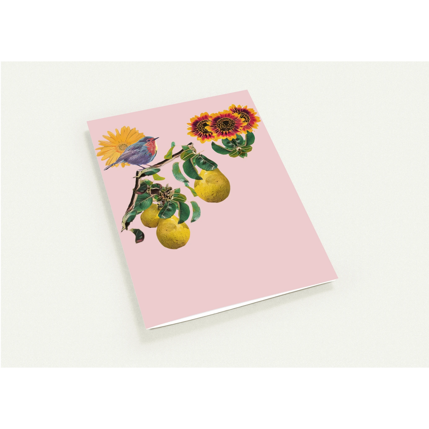 robin-pear-sunflower-themed-greeting-cards-pack-of-10-premium-folded-cards - front view