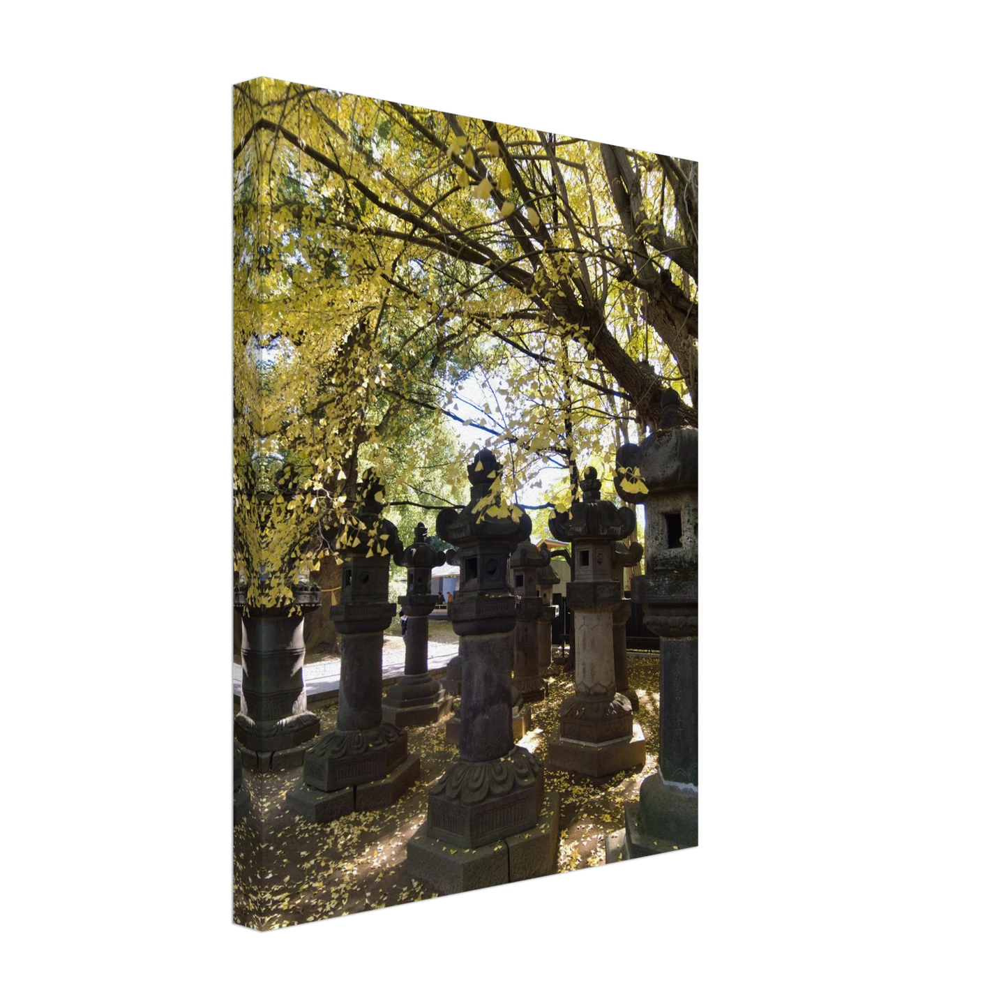 e4e8ec02-173f-43a4-9bb9-ee4df1472772