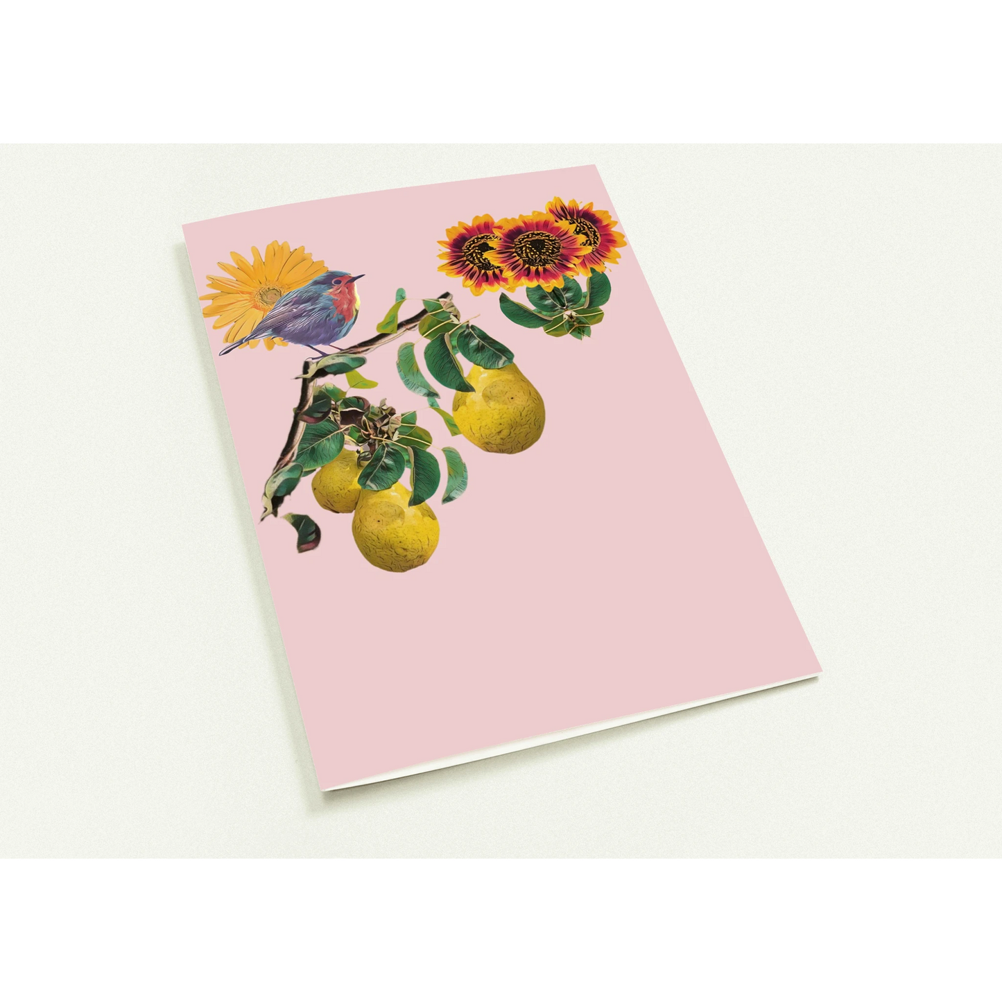 robin-pear-sunflower-themed-greeting-cards-pack-of-10-premium-folded-cards - front view