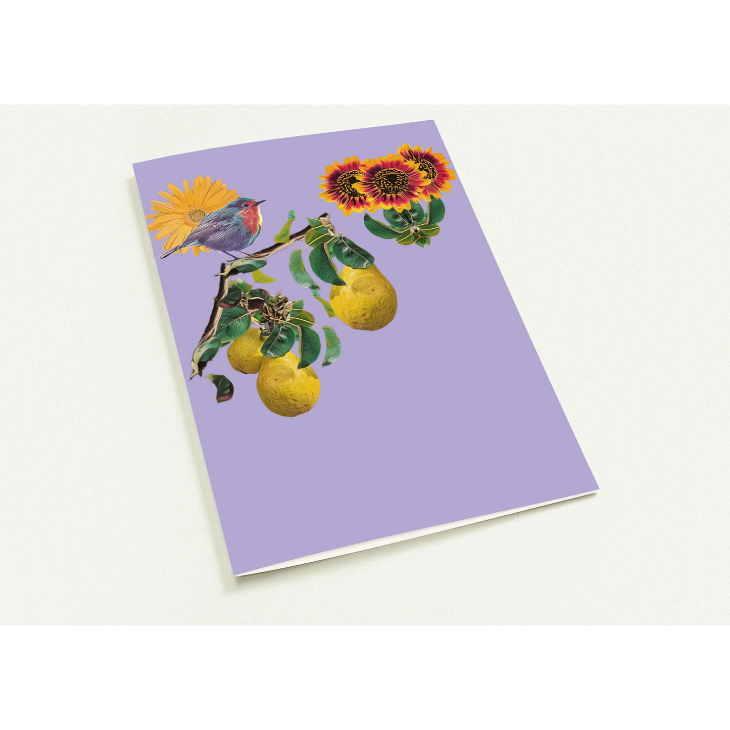 robin-pear-sunflower-themed-greeting-cards-pack-of-10-premium-folded-cards - front view