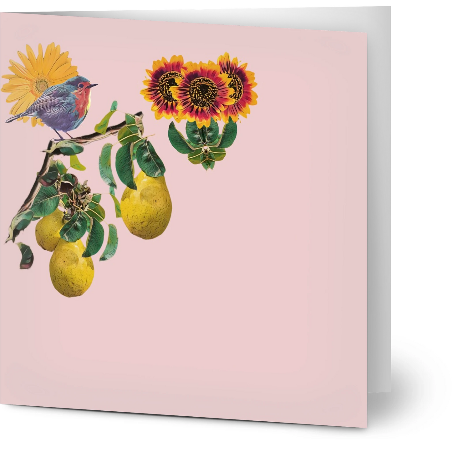 robin-pear-sunflower-themed-greeting-cards-pack-of-10-premium-folded-cards - front view