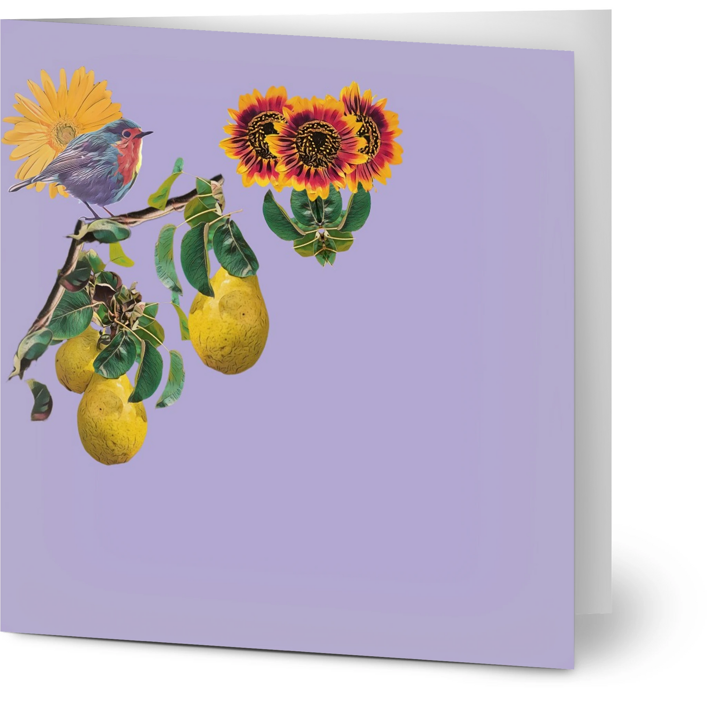 robin-pear-sunflower-themed-greeting-cards-pack-of-10-premium-folded-cards - front view